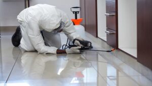 Pest Control Services near me