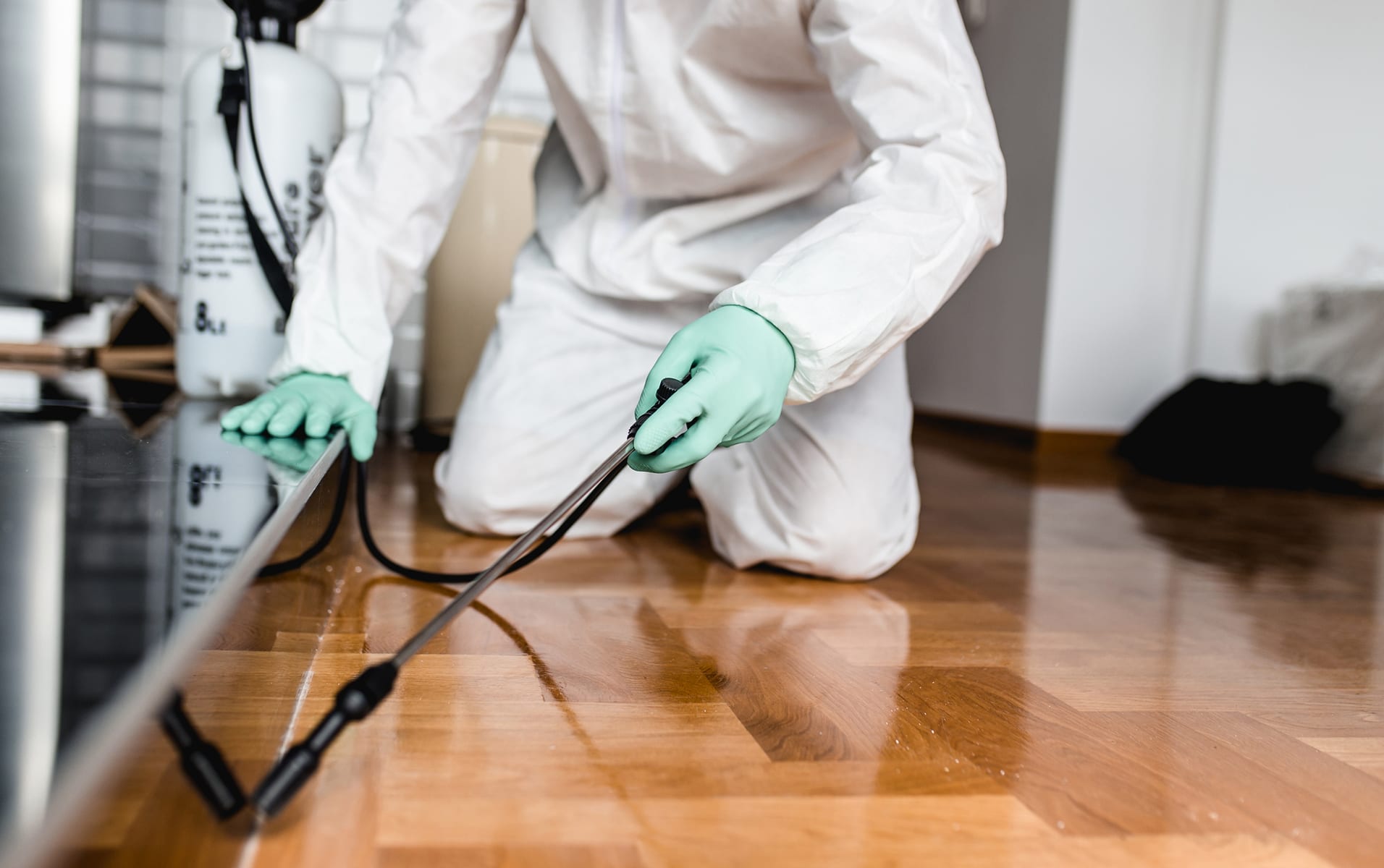 Pest Control Services in Cooper City FL