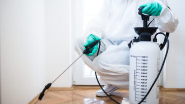 How to request for pest control with the Ministry of Municipality and Environment