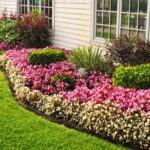 5 Fantastic Advantages of Growing Flowers in Your Yard