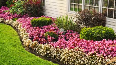 5 Fantastic Advantages of Growing Flowers in Your Yard