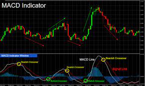Best MACD Indicator Strategies To Learn