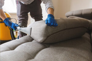 Best Upholstery Cleaners Framingham MA