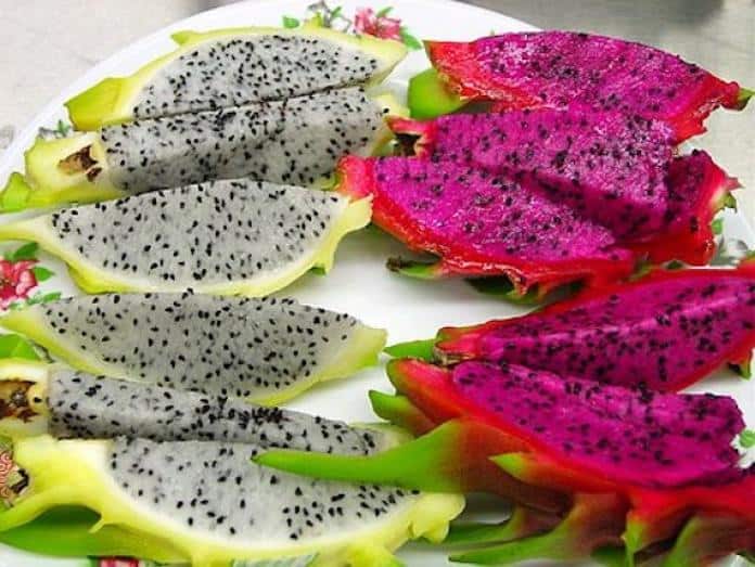 Is Dragon Fruit Skin Only Edible