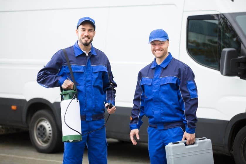 The Ultimate Guide to Pest Control Melbourne Dreams wire