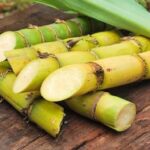 Is Sugarcane Edible