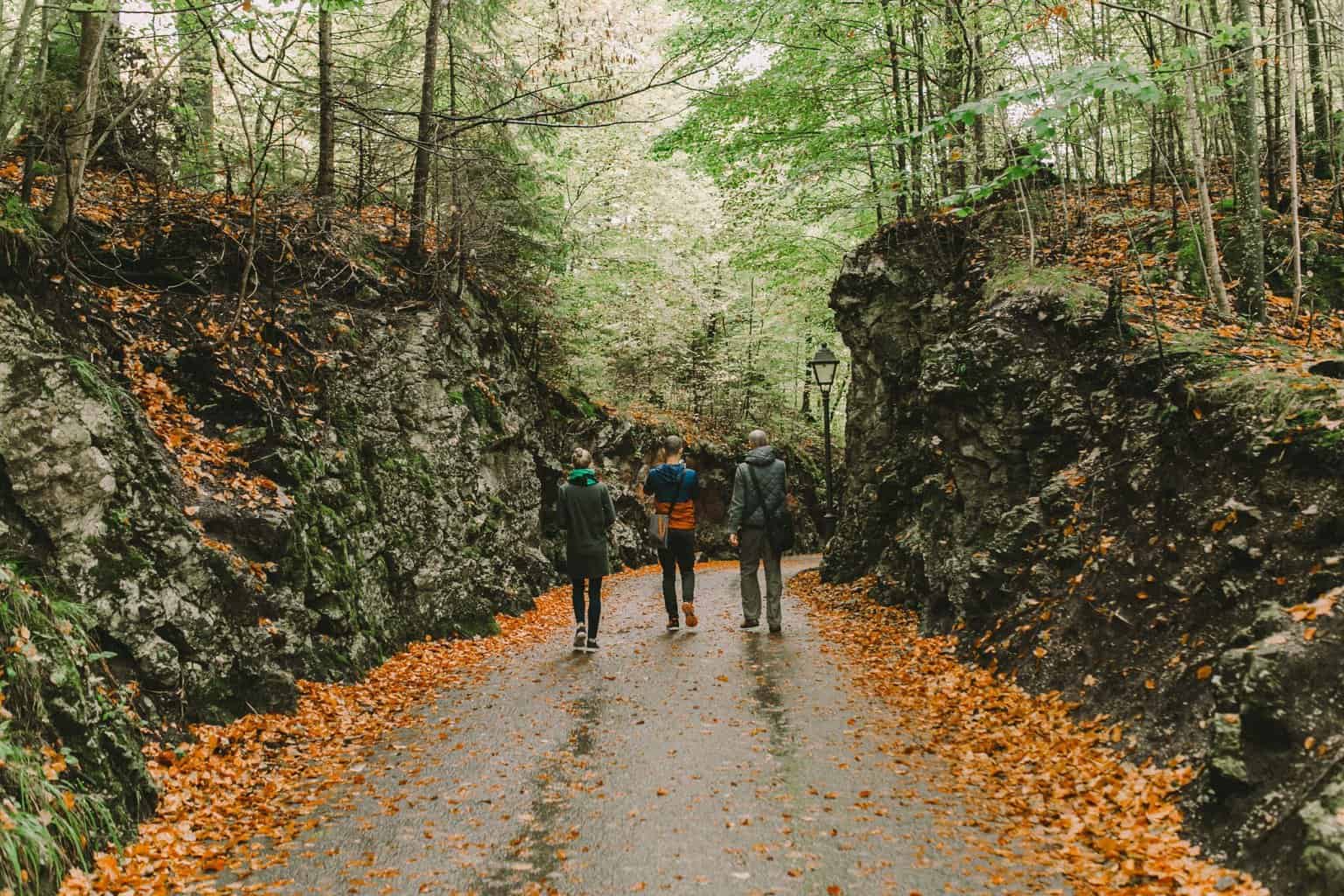 How Does A Student Travel Insurance Help Dreams Wire