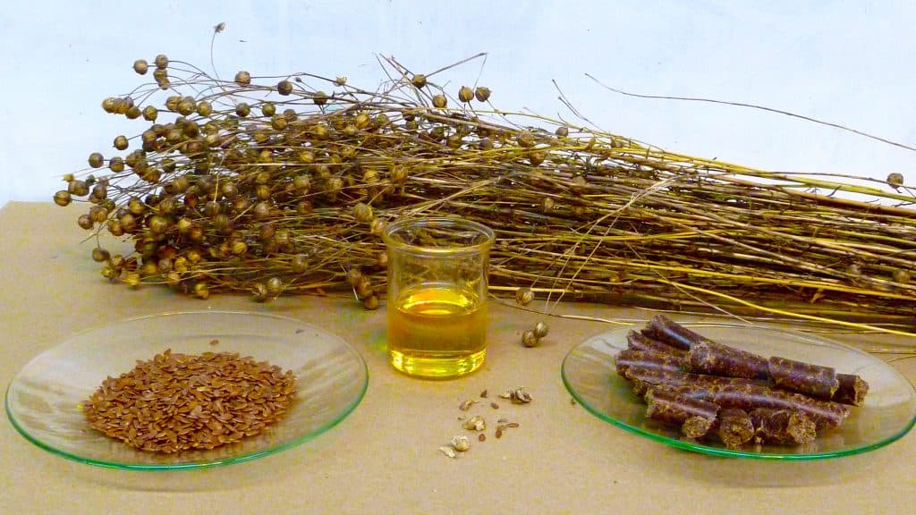 Is Linseed Oil Edible