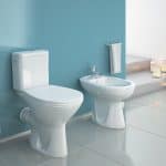 6 Tips for Choosing a New Toilet