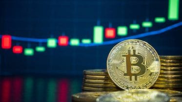Crypto Trading Tips for Beginner Traders