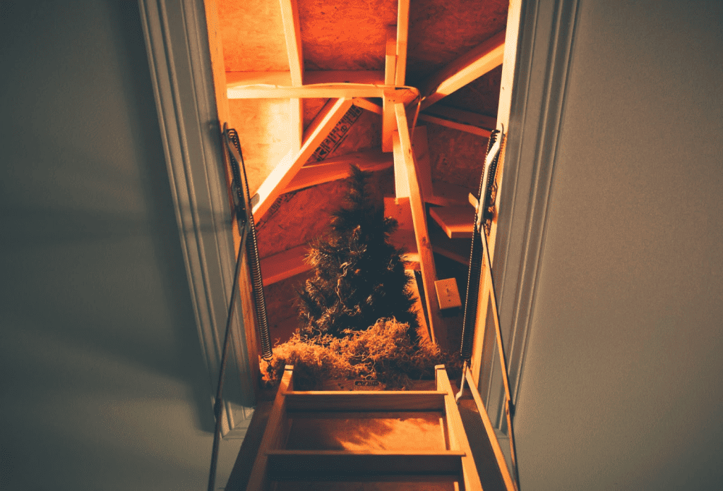 Christmas tree at the top of an attic with attic ladder hinges open.