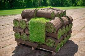 Convenience and Beauty Unveiled: Order Turf Online for Your Dream Lawn