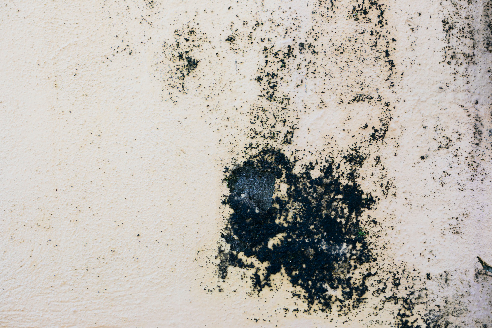 In the realm of home management, where the very walls of our abodes bear witness to the passage of time and elements, one question looms large: Is chemical damp proofing an effective panacea for home moisture-related problems?