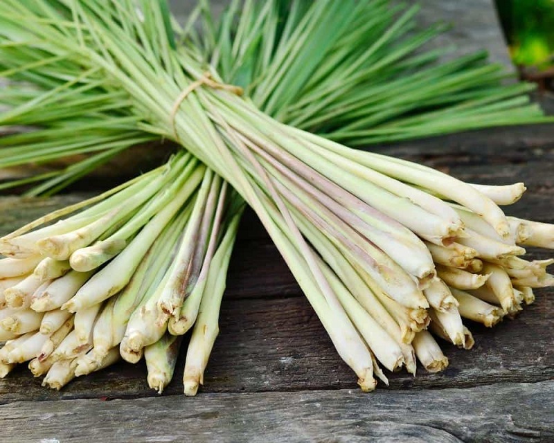 What Types of Lemongrass Are Edible?
