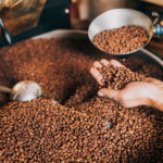 What Is Coffee Roasting? The Heart Of Coffee Perfection