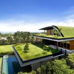 Blending Green Living with Style in Home Design