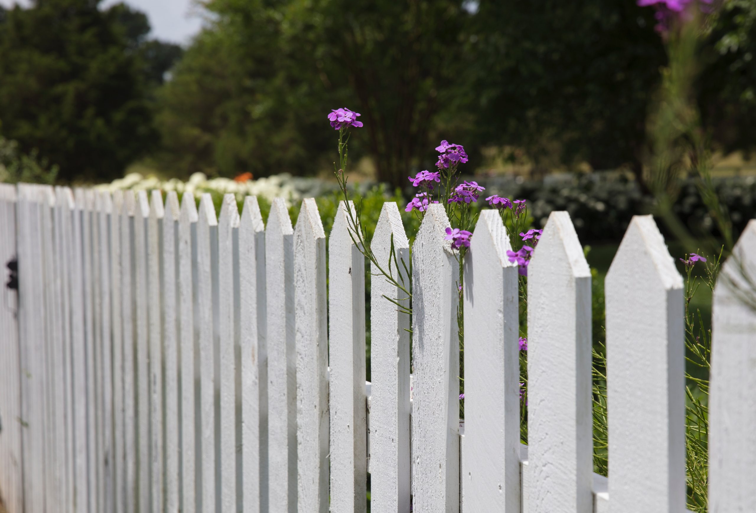 Do You Need a Neighbor's Permission To Build a Fence? Dreams wire