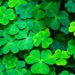 How to Spend St Patrick's Day Weekend in Chicago