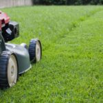 5 Tips for Keeping a Healthy and Green Lawn Year-Round