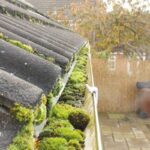 Best Gutter Cleaning Companies in Macclesfield